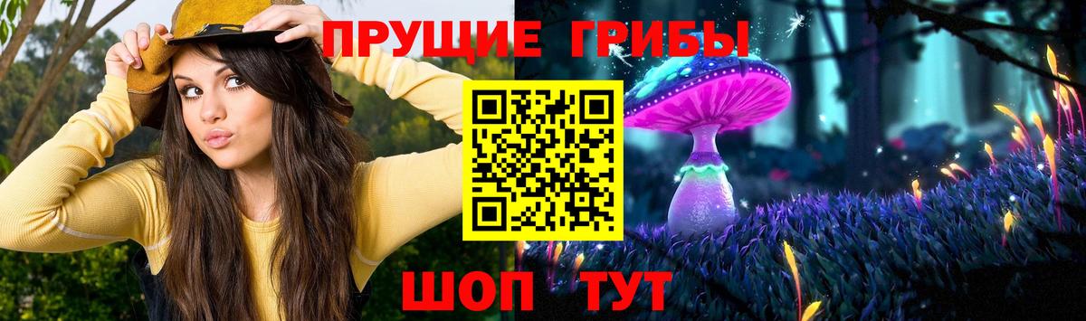 Фурманов  Галлюциногенные грибы Psilocybe  Вход с VPN  цена наркотик  Галлюциногенные грибы Magic Shrooms 